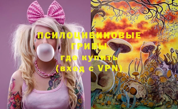 спайс Каменногорск
