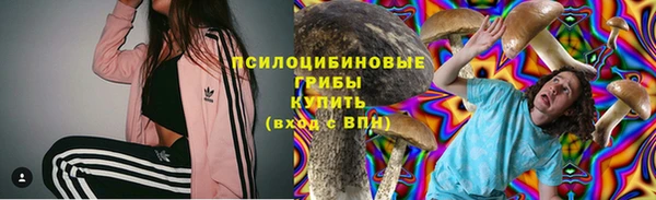 спайс Каменногорск