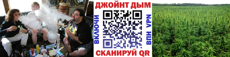 Купить закладки  Куровское  Канабис Amnesia 